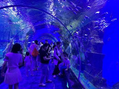 漯河水族馆vs祥龙鱼场（对比漯河水族馆和祥龙鱼场的相关信息） 全国水族馆企业名录 第4张