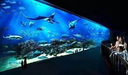 清远水族馆vs祥龙鱼场（探讨清远水族馆与祥龙鱼场之间的差异之前需要明确两者的基本信息和业务范围） 全国水族馆企业名录 第3张