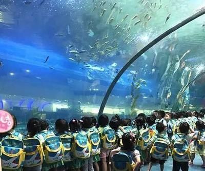 清远水族馆vs祥龙鱼场（探讨清远水族馆与祥龙鱼场之间的差异之前需要明确两者的基本信息和业务范围） 全国水族馆企业名录 第2张