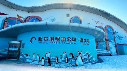 哈尔滨水族馆vs祥龙鱼场（哈尔滨水族馆与祥龙鱼场有什么区别？） 全国水族馆企业名录 第1张