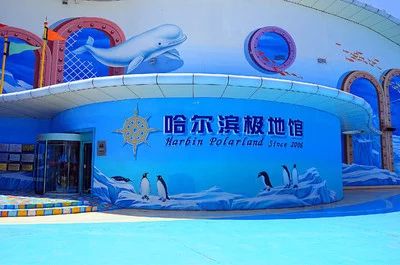 哈尔滨水族馆vs祥龙鱼场（哈尔滨水族馆与祥龙鱼场有什么区别？） 全国水族馆企业名录 第5张