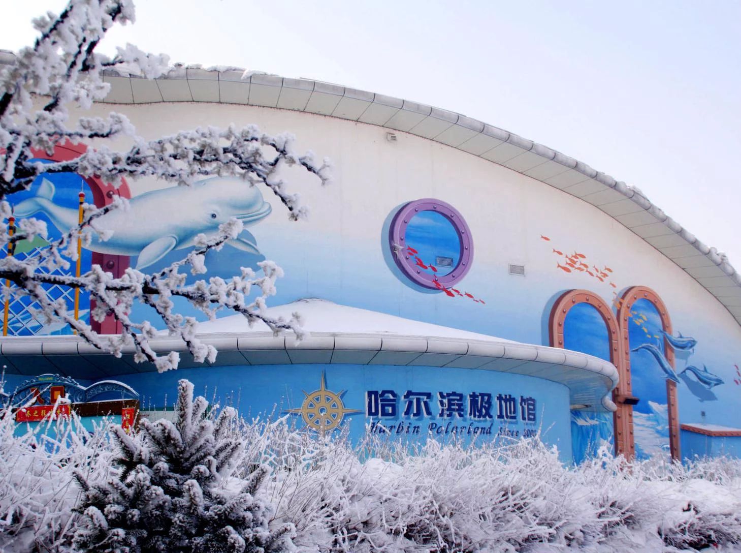 哈尔滨水族馆vs祥龙鱼场（哈尔滨水族馆与祥龙鱼场有什么区别？） 全国水族馆企业名录 第3张