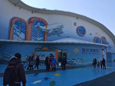 哈尔滨水族馆vs祥龙鱼场（哈尔滨水族馆与祥龙鱼场有什么区别？） 全国水族馆企业名录 第2张