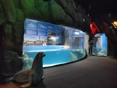 鄂尔多斯水族馆vs祥龙鱼场（内蒙古鄂尔多斯水族馆和祥龙鱼场和观赏鱼有什么关系） 全国水族馆企业名录 第1张