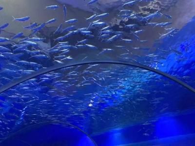 鄂尔多斯水族馆vs祥龙鱼场（内蒙古鄂尔多斯水族馆和祥龙鱼场和观赏鱼有什么关系） 全国水族馆企业名录 第4张