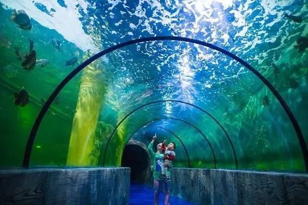 鄂尔多斯水族馆vs祥龙鱼场（内蒙古鄂尔多斯水族馆和祥龙鱼场和观赏鱼有什么关系） 全国水族馆企业名录 第5张