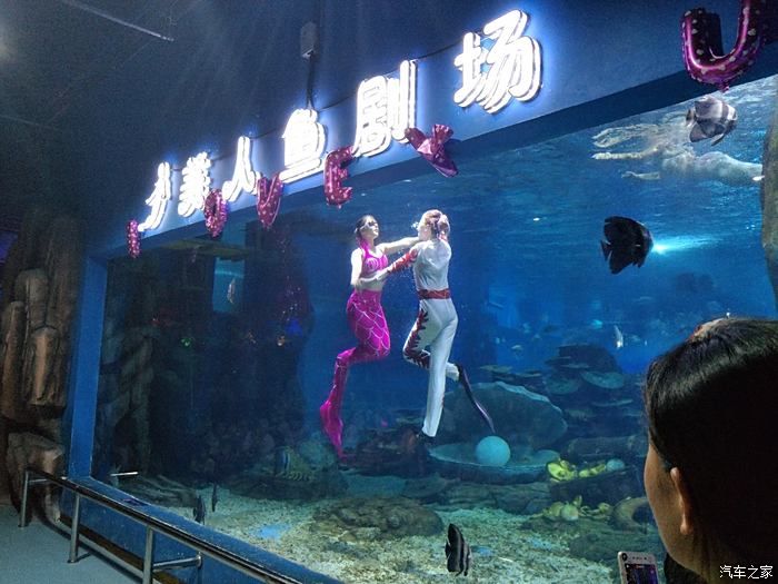 临沂水族馆vs祥龙鱼场（临沂水族馆与祥龙鱼场各有侧重） 全国水族馆企业名录 第2张