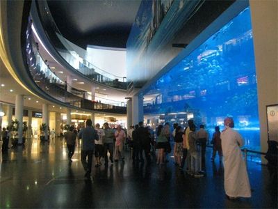 阿克苏水族馆vs祥龙鱼场（中国新疆阿克苏水族馆阿克苏水族馆和祥龙鱼场的选择） 全国水族馆企业名录 第2张