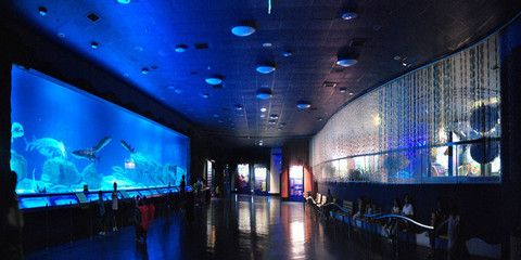 阿克苏水族馆vs祥龙鱼场（中国新疆阿克苏水族馆阿克苏水族馆和祥龙鱼场的选择） 全国水族馆企业名录 第4张