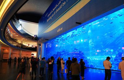 阿克苏水族馆vs祥龙鱼场（中国新疆阿克苏水族馆阿克苏水族馆和祥龙鱼场的选择） 全国水族馆企业名录 第5张