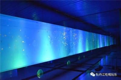 牡丹江水族馆vs祥龙鱼场（牡丹江水族馆与祥龙鱼场各有其特色和优势） 全国水族馆企业名录 第1张