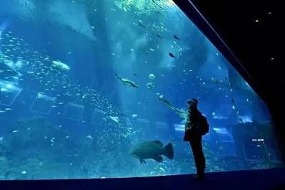 牡丹江水族馆vs祥龙鱼场（牡丹江水族馆与祥龙鱼场各有其特色和优势） 全国水族馆企业名录 第3张