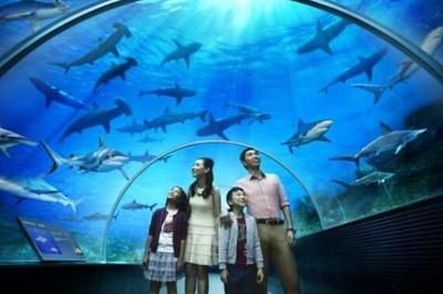 宁波水族馆vs祥龙鱼场（宁波水族馆和祥龙鱼场各有特点） 全国水族馆企业名录 第4张