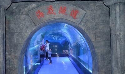 安阳水族馆vs祥龙鱼场（安阳水族馆和祥龙鱼场哪个好） 全国水族馆企业名录 第3张