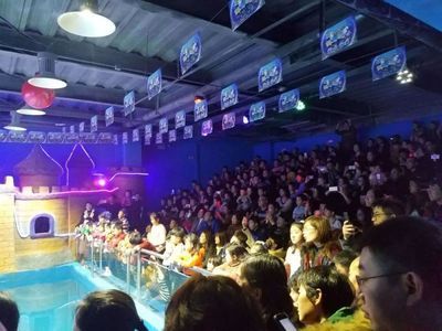 安阳水族馆vs祥龙鱼场（安阳水族馆和祥龙鱼场哪个好） 全国水族馆企业名录 第1张