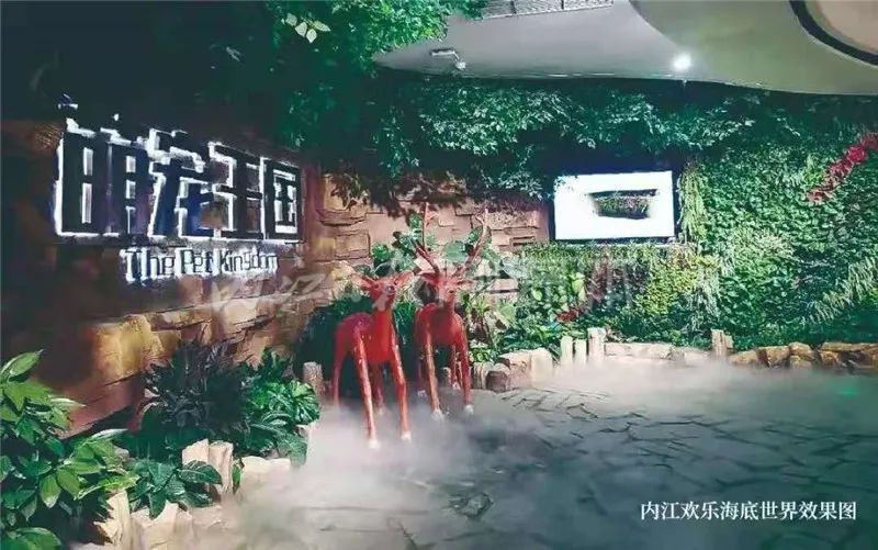 内江水族馆vs祥龙鱼场（内江水族馆、祥龙鱼场） 全国水族馆企业名录 第4张