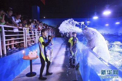 天津水族馆vs祥龙鱼场（天津水族馆与祥龙鱼场的区别） 全国水族馆企业名录 第3张