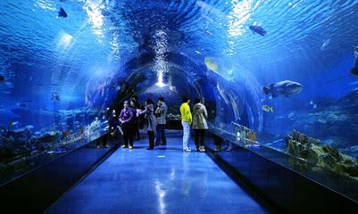 益阳水族馆vs祥龙鱼场（益阳水族馆与祥龙鱼场的区别） 全国水族馆企业名录 第3张