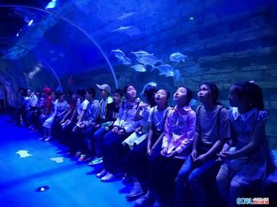 巴中水族馆vs祥龙鱼场（巴中水族馆与祥龙鱼场的具体差异）