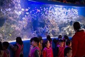 信阳水族馆vs祥龙鱼场（信阳水族馆与祥龙鱼场之间的差异之前，我们需要明确两者的主要业务和服务对象） 全国水族馆企业名录 第1张