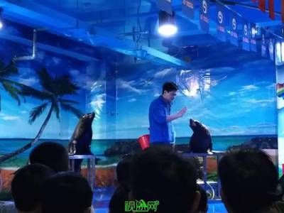 信阳水族馆vs祥龙鱼场（信阳水族馆与祥龙鱼场之间的差异之前，我们需要明确两者的主要业务和服务对象） 全国水族馆企业名录 第3张