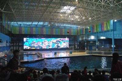 信阳水族馆vs祥龙鱼场（信阳水族馆与祥龙鱼场之间的差异之前，我们需要明确两者的主要业务和服务对象） 全国水族馆企业名录 第2张