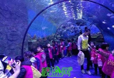 信阳水族馆vs祥龙鱼场（信阳水族馆与祥龙鱼场之间的差异之前，我们需要明确两者的主要业务和服务对象） 全国水族馆企业名录 第5张