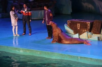 铁岭水族馆vs祥龙鱼场（铁岭水族馆与祥龙鱼场各有特色） 全国水族馆企业名录 第4张