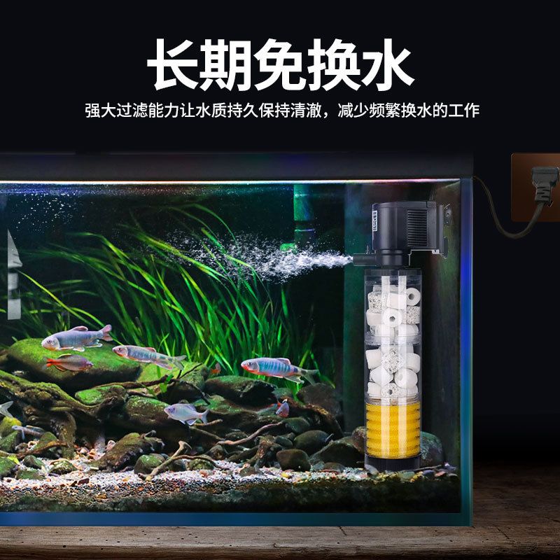 鱼缸过滤器怎么增氧（鱼缸过滤器怎么增氧鱼缸过滤器增氧的方法主要有以下几种） 鱼缸百科 第4张