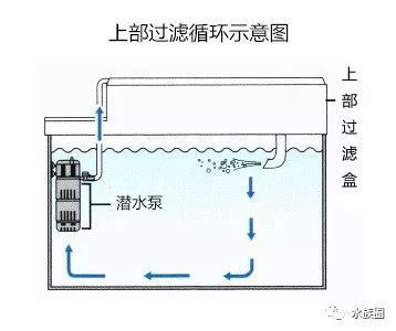 安装鱼缸过滤器的视频（如何安装鱼缸过滤器） 鱼缸百科 第3张