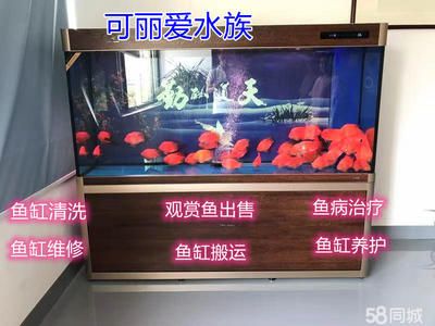 可丽爱鱼缸售后维修电话号码（可丽爱鱼缸售后电话） 鱼缸百科 第4张