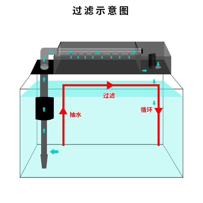 鱼缸过滤器增氧原理（鱼缸过滤器可以通过多种方式实现增氧功能，以下是常见的增氧原理） 鱼缸百科 第3张