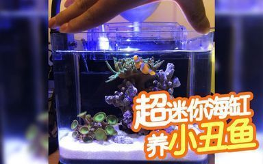 彩蝶鱼缸新款图片（彩蝶鱼缸新款图片展示） 鱼缸百科 第3张