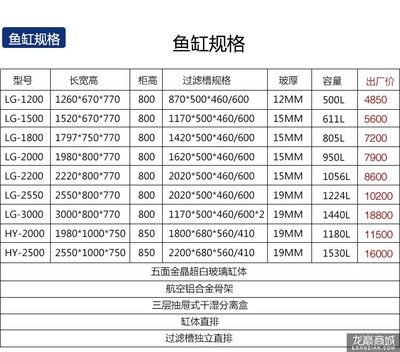 龙鱼缸的最佳尺寸长宽高？（龙鱼缸的最佳尺寸主要取决于龙鱼的种类和大小） 鱼缸百科 第4张