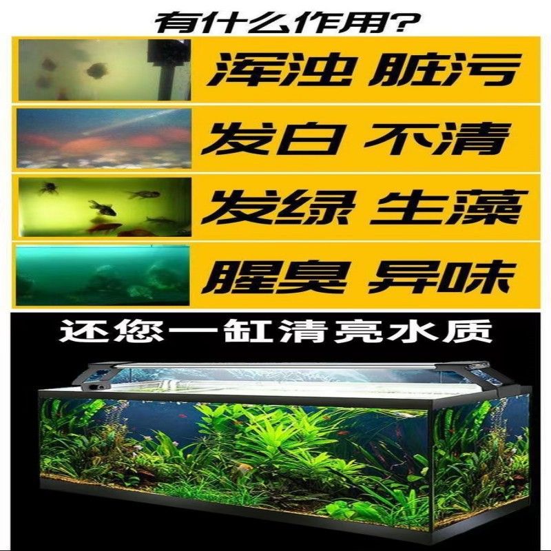 鱼缸养鱼文案（鱼缸养鱼） 鱼缸百科 第3张