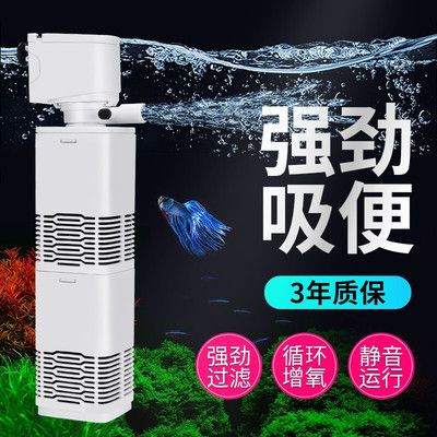 鱼缸过滤器能增氧吗（鱼缸过滤器可以增氧吗） 鱼缸百科 第4张