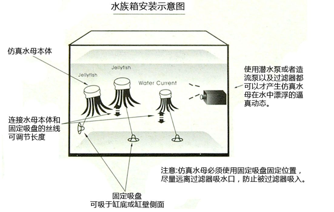 鱼缸过滤器怎样安装潜水泵视频讲解（鱼缸过滤器安装潜水泵） 鱼缸百科 第3张