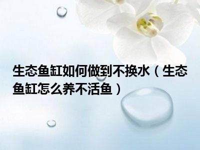 鱼缸可不可以不换水（鱼缸可不可以不换水取决于多种因素，取决于多种因素） 鱼缸百科 第5张