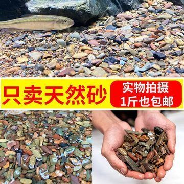 鱼缸多少钱1斤（鱼缸多少钱1斤鱼缸多少钱）