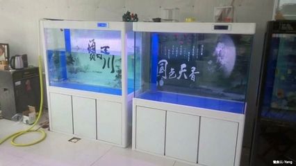 鱼缸定制厂家电话（鱼缸定制厂家电话,上海华宇水族科技有限公司） 鱼缸百科 第2张