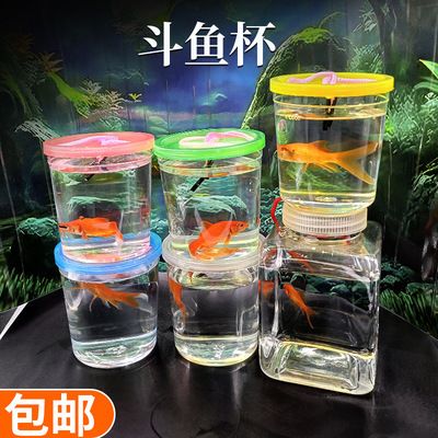 水草鱼缸造景图片大全大型 鱼缸百科 第1张