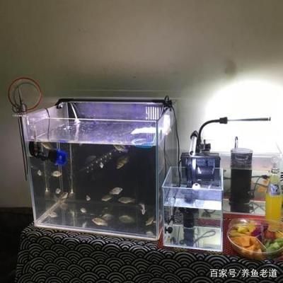 家庭鱼缸过滤器 鱼缸百科 第4张