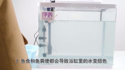 鱼缸水发浑发白怎么处理 鱼缸百科 第3张