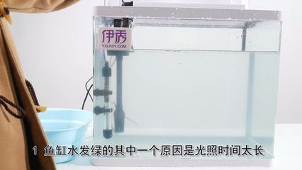 鱼缸水发浑发白怎么处理 鱼缸百科 第2张