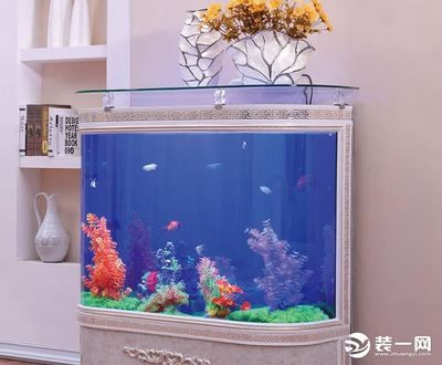 鱼缸选购攻略（水族箱选购攻略） 鱼缸百科 第3张