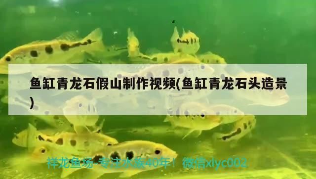 鱼缸造景图片大全青龙石（青龙石是一种常见的水族箱造景材料） 鱼缸百科 第3张