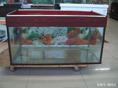 推荐鱼缸品牌大全（推荐鱼缸品牌大全推荐鱼缸品牌大全） 鱼缸百科 第1张