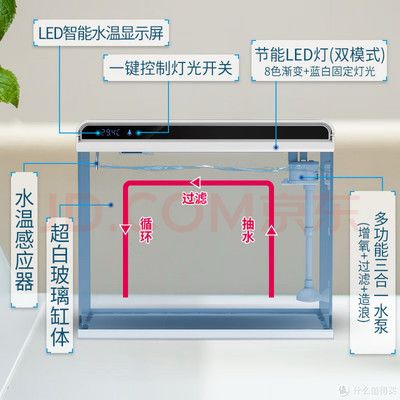 森森鱼缸显示屏怎么换（森森鱼缸显示屏怎么换,） 鱼缸百科 第4张