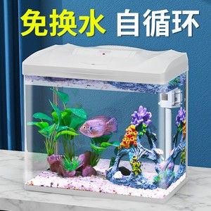 森森鱼缸下水声音大解决方法（森森鱼缸下水声音大） 鱼缸百科 第5张