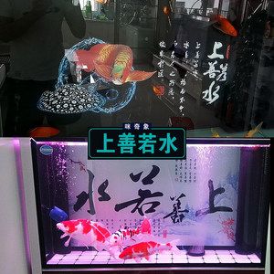 鱼缸选哪个品牌（鱼缸选哪个品牌好） 鱼缸百科 第1张